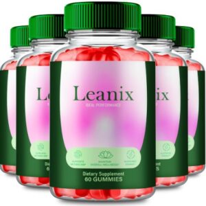 Leanix